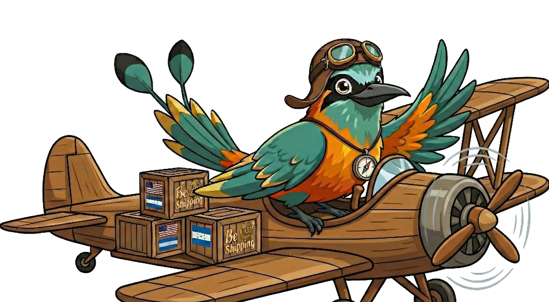 Avión